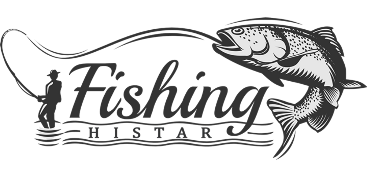 Fishing Reel Shop: Spinning, baitcasting, fly reels - Histar – Histar  Fishing